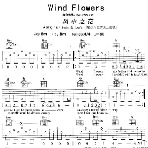 风中之花 吉他谱 齐秦