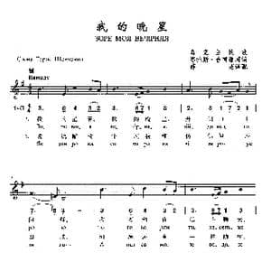 我的晚星_歌曲简谱