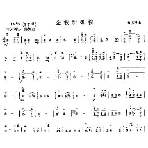 二胡谱 | 金梭和银梭 金凤浩
