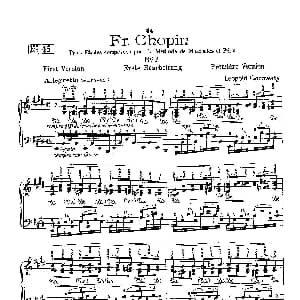 53首以肖邦练习曲为素材而作的练习曲 钢琴谱 里奥鲍尔德 戈多夫斯基