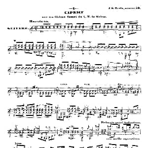 ​梅尔兹 —韦伯主题变奏随想曲 Op.50 吉他谱