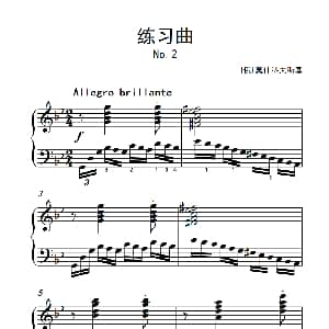 第九级3.练习曲 No.2 钢琴谱 俄 莫斯科夫斯基