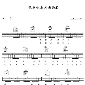 你看你看月亮的脸 吉他谱 孟庭苇
