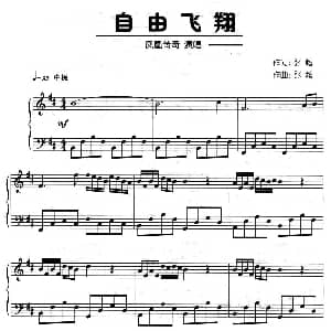 自由飞翔 钢琴谱 张超 张超