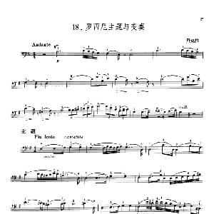 罗西尼主题与变奏 大提琴 丹克拉