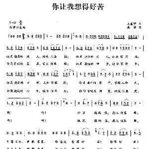 你让我想得好苦_歌曲简谱_词曲:王春明 姜振