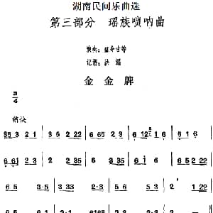 金金牌 湖南民间乐曲选 洪滔记谱