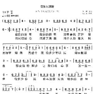 贝加尔湖畔_歌曲简谱_词曲:李健 李健