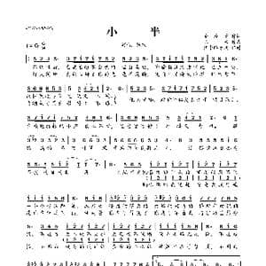 小半_歌曲简谱_词曲:涂玲子 陈粒