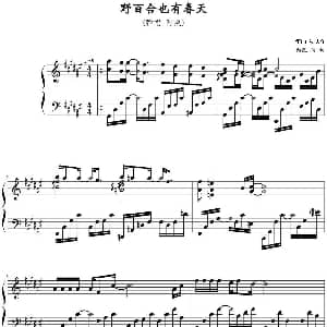 野百合也有春天 钢琴谱 罗大佑作曲 何初