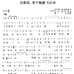 天保佑,单个翅膀飞回去 美国 _外国歌谱_词曲: 薛范译配