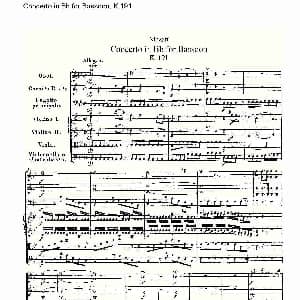Concerto in Bb for Bassoon, K.191 降B大调大管协奏曲