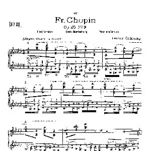 53首以肖邦练习曲为素材而作的练习曲 钢琴谱 里奥鲍尔德 戈多夫斯基