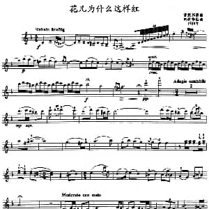 小提琴谱 | 花儿为什么这样红