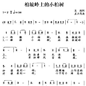 柏坡岭上的小柏树_儿歌乐谱_词曲:吴珹 王玉西