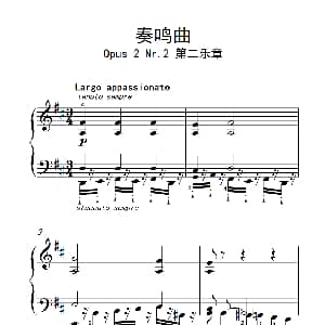 奏鸣曲 Opus 2 Nr.2 第二乐章 钢琴谱 贝多芬