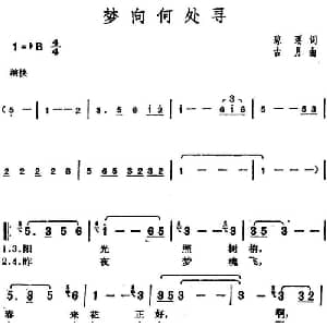 邓丽君演唱金曲 梦向何处寻_通俗唱法乐谱_词曲:琼瑶 古月