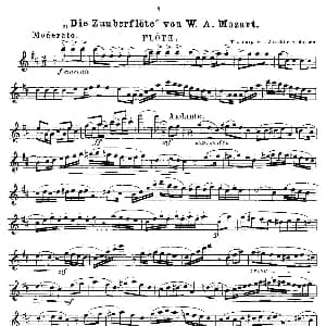 长笛曲谱 | Opern Transcriptionen.Op.45 8