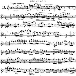 长笛曲谱 | 二十首练习曲作品132号之13 Garibold 加里波第
