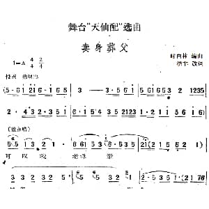 黄梅戏谱 | 舞台 天仙配 选曲 卖身葬父 洪非改词 时白林编曲