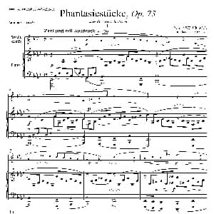 萨克斯谱 | 舒曼幻想曲三首 Op73 Ⅰ 中音萨克斯 钢琴伴奏