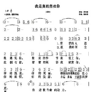 我是真的喜欢你_通俗唱法乐谱_词曲:曹中新 杨志章