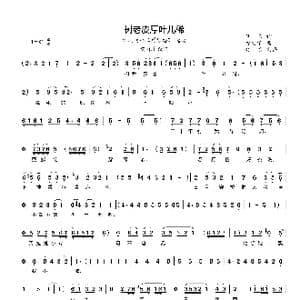 树老皮厚叶儿稀_歌曲简谱_词曲: 徐文华