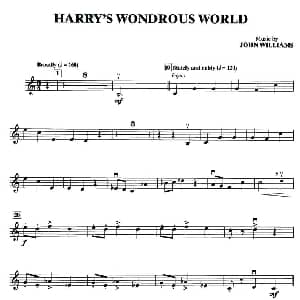 小提琴谱 | HARRY'S WONDROUS WORLD