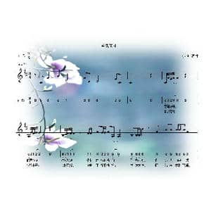 辛夷花开_歌曲简谱_词曲:小镇 小镇