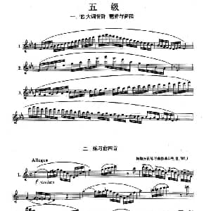长笛曲谱 | 长笛五级考级曲谱