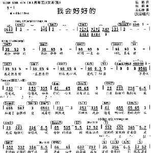 我会好好的_通俗唱法乐谱_词曲:伍佰 伍佰