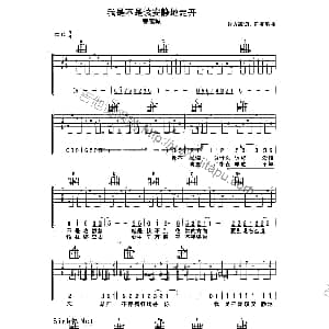我是不是该安静地走 吉他谱 郭富城 张方露 陈有男