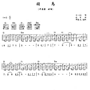 囚鸟 吉他谱 彭羚 十一郎 张宇
