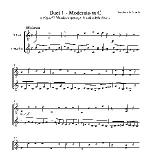 Metodo Completo Op.27 3 吉他谱 卡鲁里 Ferdinando Carulli