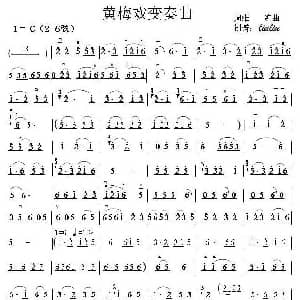 二胡谱 | 黄梅戏变奏曲 周维