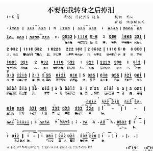 不要在我转身之后掉泪_歌谱投稿_词曲:陈伟 陈伟