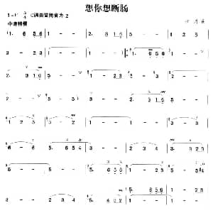 笛子谱 | 想你想断肠 古月