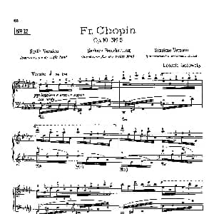 53首以肖邦练习曲为素材而作的练习曲 钢琴谱 里奥鲍尔德 戈多夫斯基