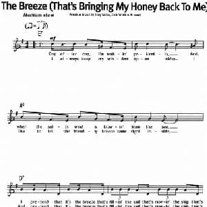 蓝调音乐:The Breeze_外国歌谱