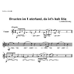 Drunten im Unterland,da ist's halt fein 单簧管 Folksong