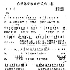 你说你爱我象我爱你一样_通俗唱法乐谱_词曲:逯海田 郭洪钧