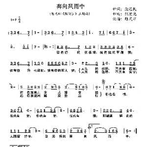 奔向风雨中_歌谱投稿_词曲:段连民 张宏光