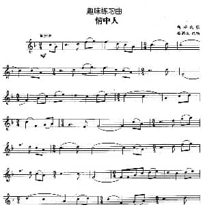 趣味练习曲 情中人