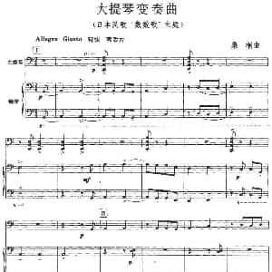 大提琴变奏曲 大提琴 钢琴伴奏 桑桐