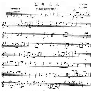 小提琴谱 | 生命之火 电视剧 徐悲鸿 主题歌 小提琴谱