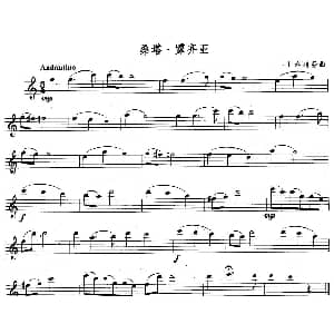 长笛曲谱 | 桑塔 露齐亚