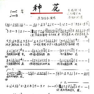 种花_歌谱投稿_词曲:李尚朝 凡间精灵