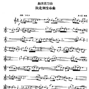 趣味练习曲 陕北调变奏曲