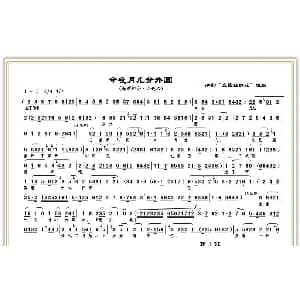 沪剧 今夜月儿分外圆 血染姐妹花 选段