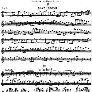 长笛曲谱 | 斯勒新老风格长笛练习重奏曲 第一部分 NO.83 NO.84 Siegfried Thiele S. 斯勒